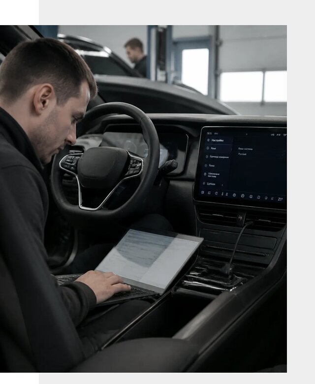 Русификация автомобилей BYD под ключ для всех моделей в Петергофе