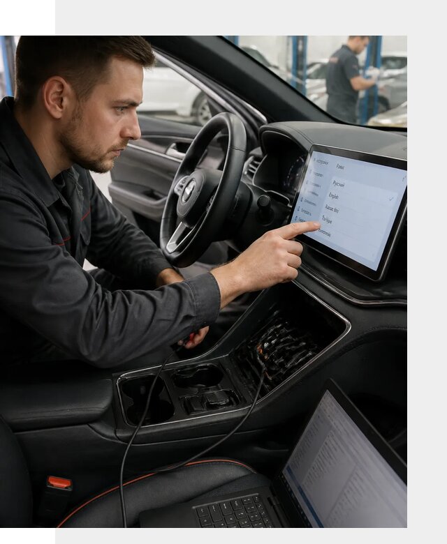 Профессиональная русификация BYD SONG Plus в Петергофе